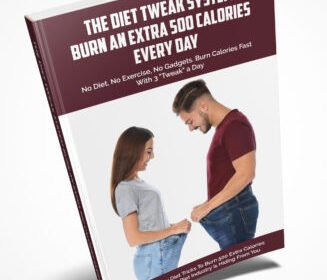 Diet Tweak System Ebook